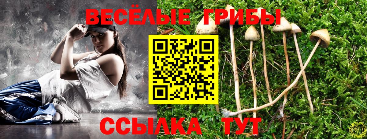 Псилоцибиновые грибы ЛСД Гудермес